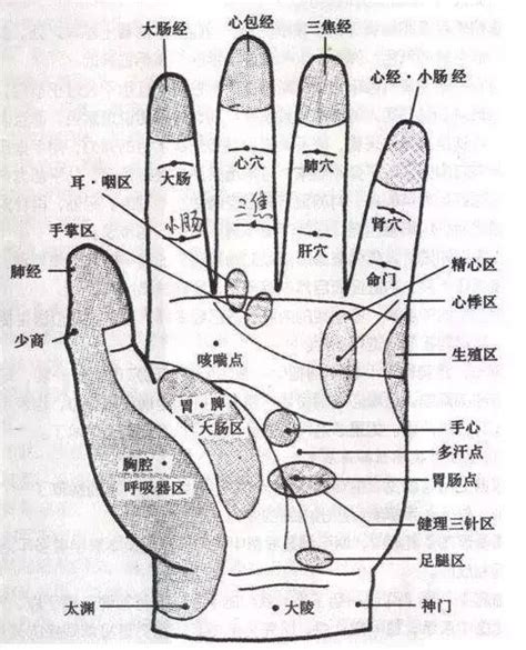 中指代表器官|手指中藏着养生密码